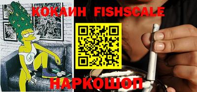 дмт Тара